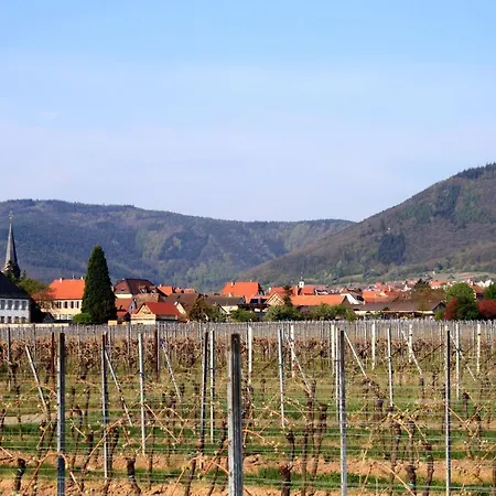 Apartament Luxus-idyll Mit Pfalz-panorama